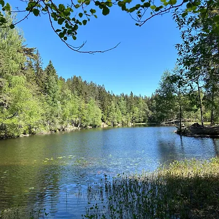 Hallingstua Oslo