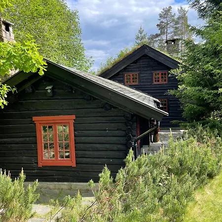 Hallingstua Oslo