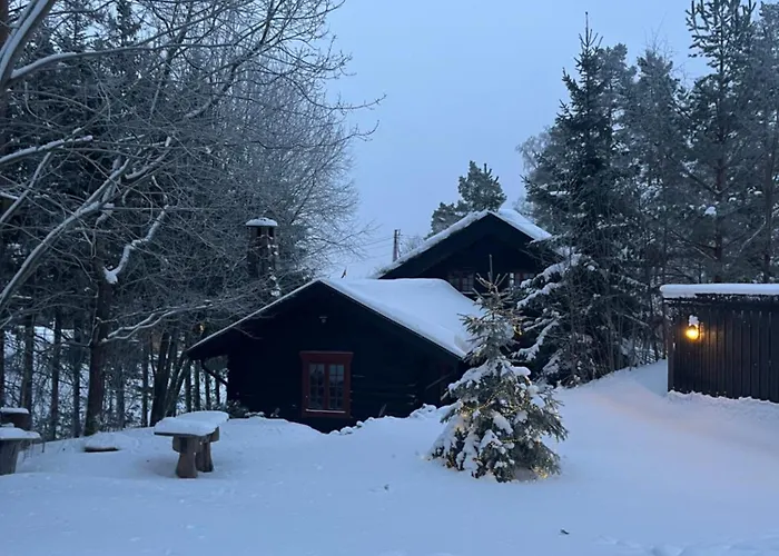 Semesterbostad Hallingstua