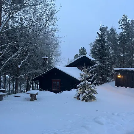 Σπίτι διακοπών Hallingstua