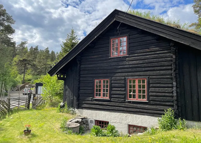 Casa de Férias Hallingstua Oslo